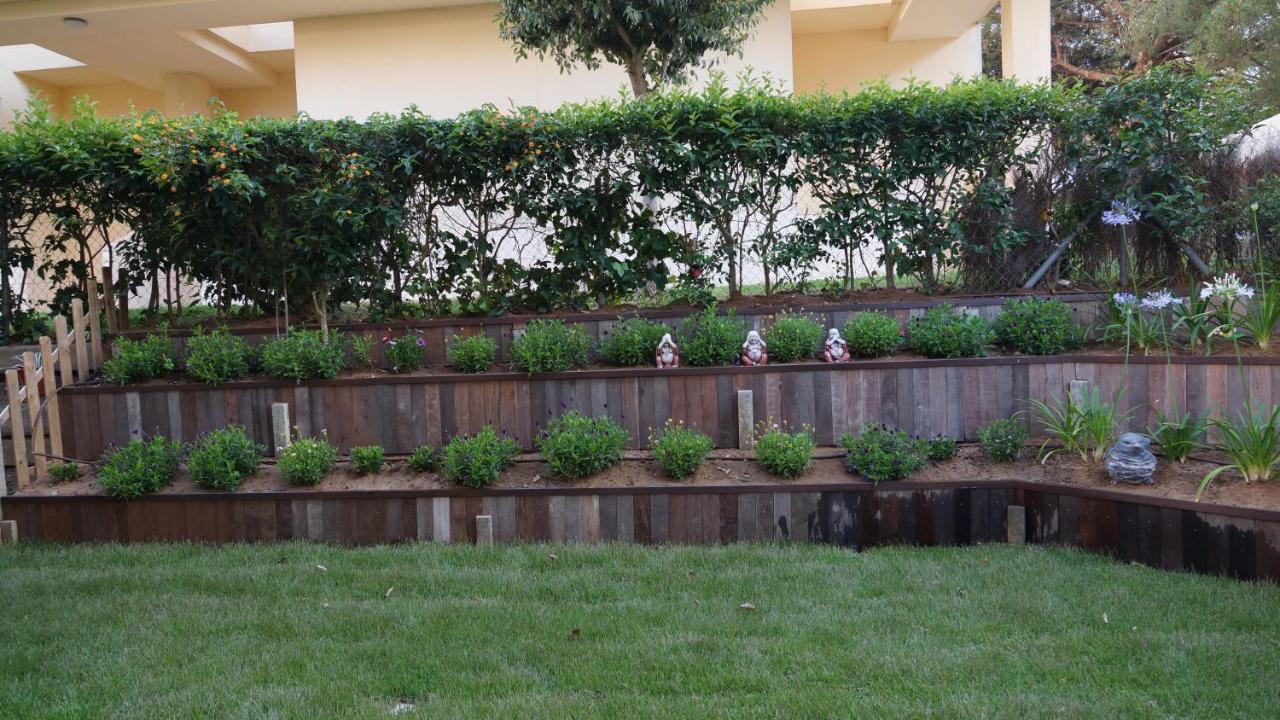 Dúplex Lujo Recién Reformado con Jardín - Caños de Meca - 50m playa Los Canos De Meca Exterior foto