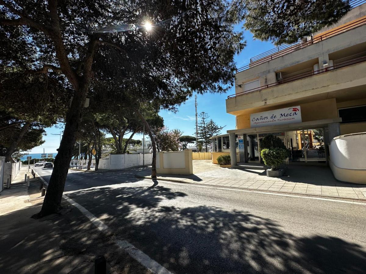 Dúplex Lujo Recién Reformado con Jardín - Caños de Meca - 50m playa Los Canos De Meca Exterior foto